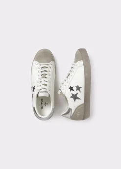 Zapatos*Brownie Deportiva estrellas