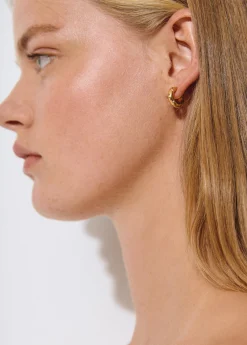 Bisutería*Brownie Pendientes aro circonita Dorado